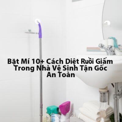 Bật Mí 10+ Cách Diệt Ruồi Giấm Trong Nhà Vệ Sinh Tận Gốc, An Toàn