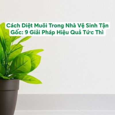 Cách Diệt Muỗi Trong Nhà Vệ Sinh Tận Gốc: 9 Giải Pháp Hiệu Quả Tức Thì