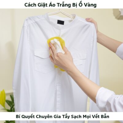 Cách Giặt Áo Trắng Bị Ố Vàng: Bí Quyết Chuyên Gia Tẩy Sạch Mọi Vết Bẩn