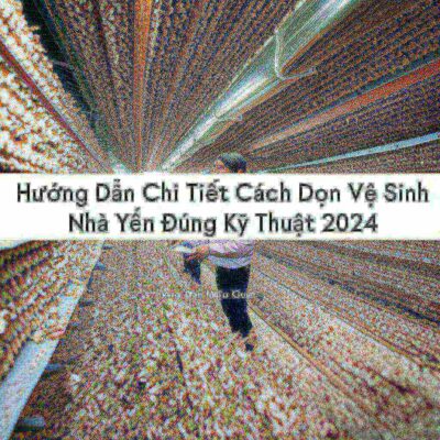Hướng Dẫn Chi Tiết Cách Dọn Vệ Sinh Nhà Yến Đúng Kỹ Thuật 2024, Tăng Đàn Hiệu Quả