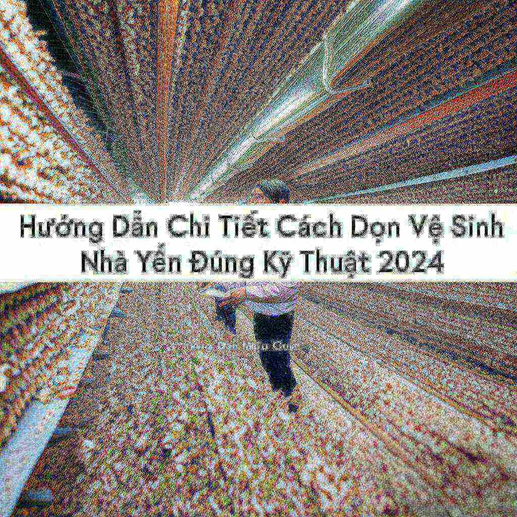 Hình minh họa cho bài viết: Hướng Dẫn Chi Tiết Cách Dọn Vệ Sinh Nhà Yến Đúng Kỹ Thuật 2024, Tăng Đàn Hiệu Quả